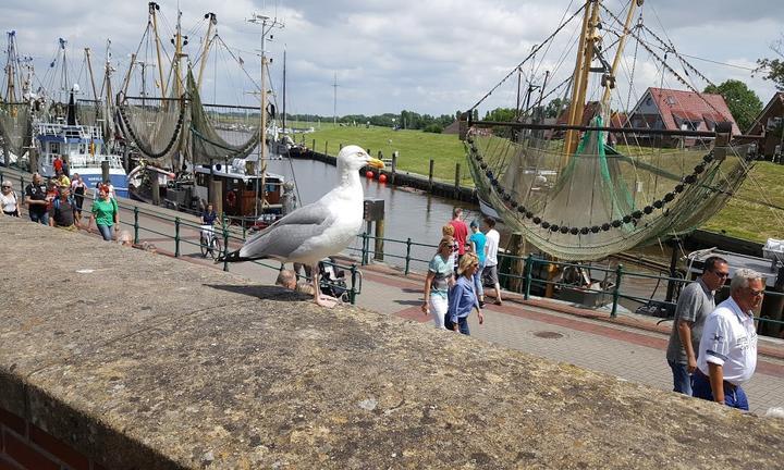 Eiscafe Am Hafen